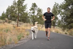 Ruffwear Switchbak Leash talutushihna, harmaa