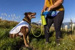RuffWear Trail Runner Bowl minimalistinen retkikuppi, Blue Pool