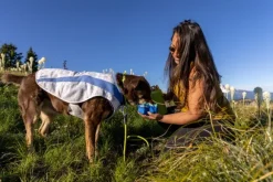 RuffWear Trail Runner Bowl minimalistinen retkikuppi, Blue Pool