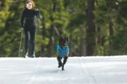 RuffWear Vert Coverall koiran talvihaalari, XXS-S, Blue Pool