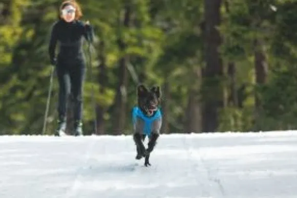 RuffWear Vert Coverall koiran talvihaalari, XXS-S, Blue Pool