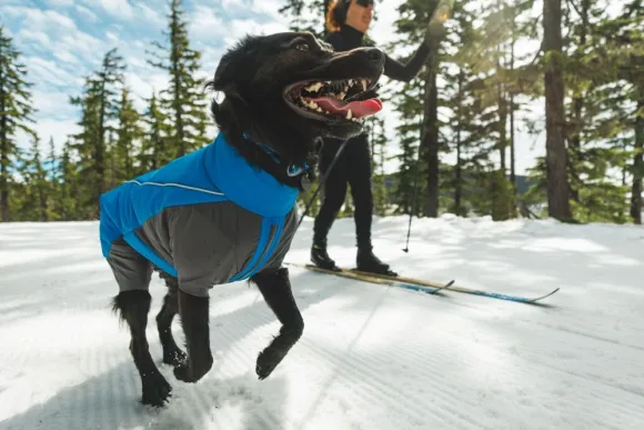 RuffWear Vert Coverall koiran talvihaalari, XXS-S, Blue Pool