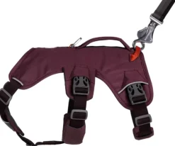 RuffWear Web Master Harness valjaat, Purple Rain
