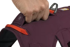 RuffWear Web Master Harness valjaat, Purple Rain