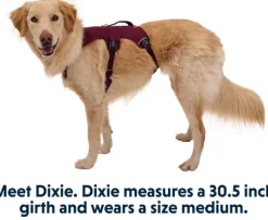 RuffWear Web Master Harness valjaat, Purple Rain