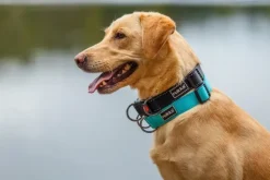 Rukka Bliss Collar Black XS