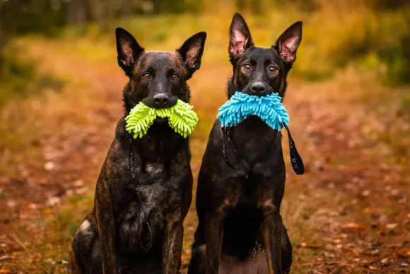 Rukka Fluffy Toy Turquoise