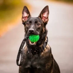 Rukka Gel Ball with Handle Green