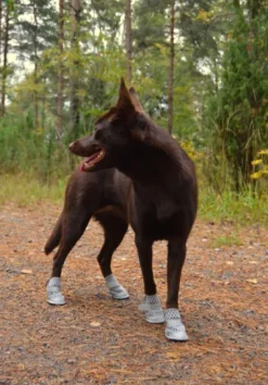 Rukka Summer Shoes 2 pcs Gray size 5-6