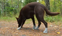 Rukka Summer Shoes 2 pcs Gray size 5-6