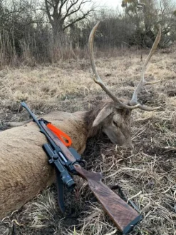 Sauenhammer SH2 aseen tukihihna