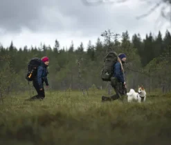 Savotta Jääkäri L -rinkka 60 l, vihreä