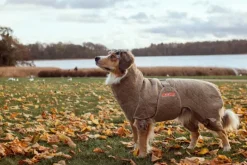 Siccaro Solution kuivausloimi, Sand 70 (XXL)