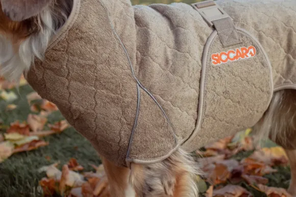 Siccaro Solution kuivausloimi, Sand 60 (XL)