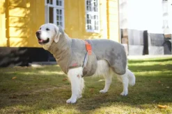 Siccaro SupremePro 2.0 koiran kuivausloimi, 55 cm, vaaleanruskea