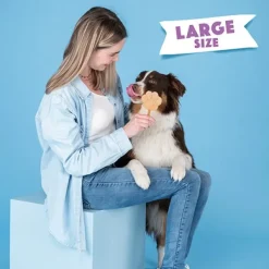 Smoofl Dog Ice Form muotit koiran jäätelölle, L