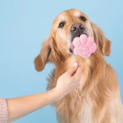 Smoofl Dog Ice Form muotit koiran jäätelölle, L