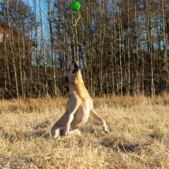 Starmark Funball med Rep Grön L