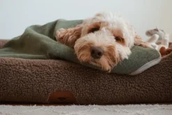 Swaggin Tails Drömmig koiranpeti, S, vaaleanharmaa