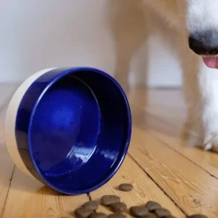 Swaggin Tails Käka koirankuppi, 2,5 l kermanvärinen/sininen