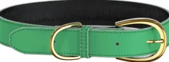 Swaggin Tails koiran kaulapanta, vihreä
