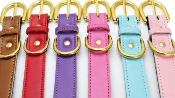 Swaggin Tails koiran kaulapanta, vihreä