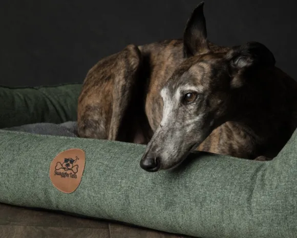 Swaggin Tails koiranpeti Memory Foam -vaahdolla S, harmaa