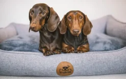 Swaggin Tails koiranpeti Memory Foam -vaahdolla L, vihreä