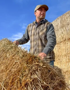 Swazi Apprentice Shirt paita, Navy