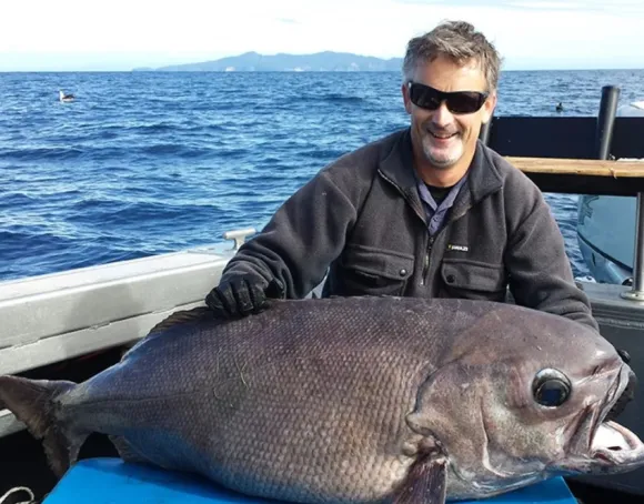 Swazi Back 40 fleecetakki, musta