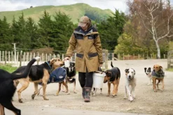 Swazi Torrent Jacket takki, Muskeg Black