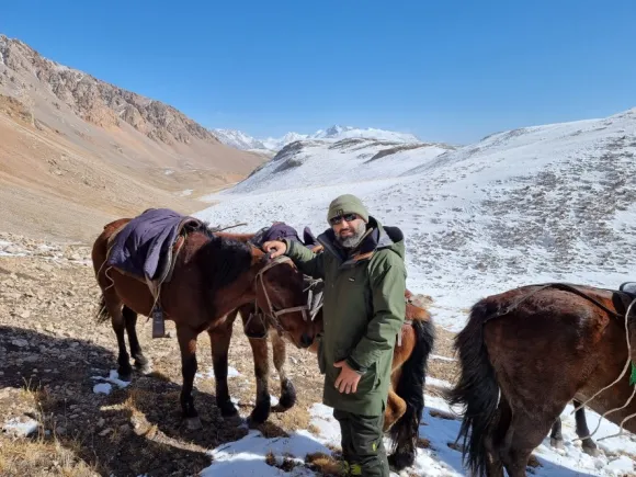 Swazi Wapiti XP metsästystakki, Olive