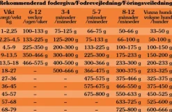 Taste of the Wild High Prairie Puppy Bison koiranpennun kuivaruoka 2 kg