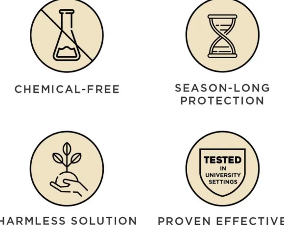 Tickless PET punkkikarkotin