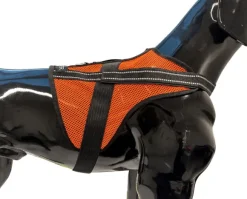 Tracker Aira koiraliivi