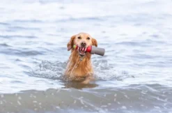 Trixie Aqua Toy Lighthouse 26 cm