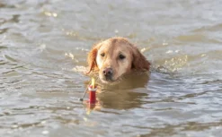 Trixie Aqua Toy Snack Buoy 19 cm