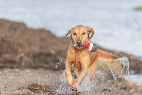 Trixie Aqua Toy Snack Buoy 19 cm