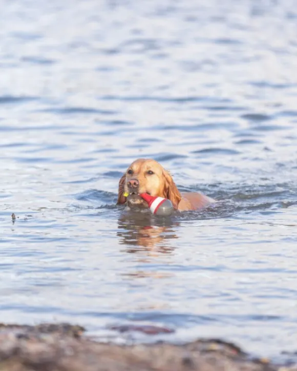 Trixie Aqua Toy Snack Buoy 19 cm