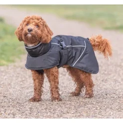 Trixie Brizon Winter Coat koiran talvitakki, 40-50 cm, Black