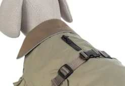 Trixie Hermy 2 in 1 Dachshund koiran takki, 43 cm, Olive Green