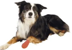 Trixie itsekiinnittyvä sideharso koiralle, 5 cm/4,5 m, 4 kpl