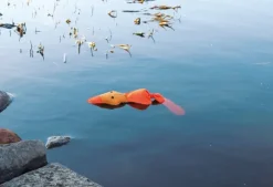 Trixie kelluva ankkalelu, 50 cm