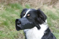 Trixie kuonokoppa M, nailon, 24 cm