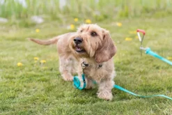 Trixie maakoukku, 40 cm/ø 9,0 mm