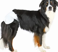 Trixie narttukoirien vaipat, M 32-48 cm, 12 kpl