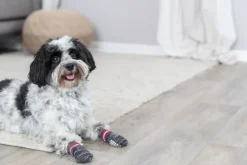 Trixie Non-Slip -koiran sukat, harmaa M-L