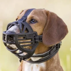 Trixie -silikoninen kuonokoppa M