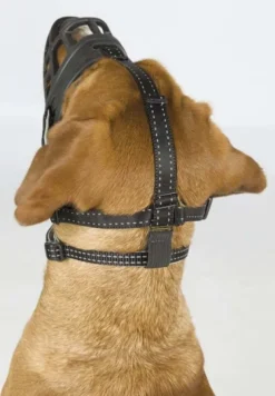 Trixie -silikoninen kuonokoppa S-koko