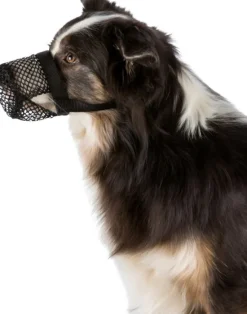 Trixie -suojaverkko kuonolle, S, musta